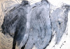 1_Marek-Bieganik-Tauben1998