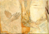 crucifixion-mains